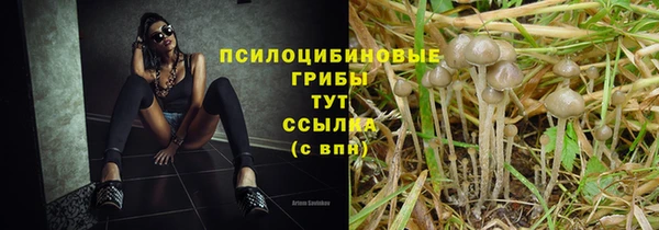дживик Алексеевка