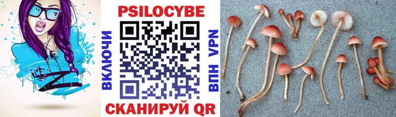 Псилоцибиновые грибы Psilocybine cubensis  Кондопога 
