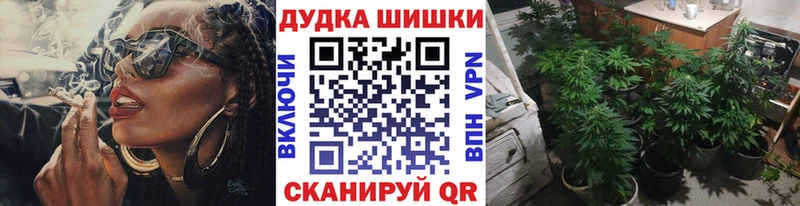 Шишки марихуана конопля  Кондопога 